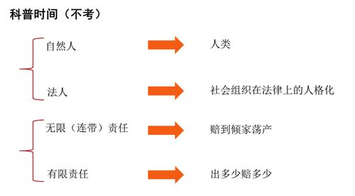 網絡經濟時代下的企業管理轉型與創新