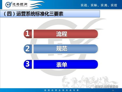 連鎖運營標準化模塊 企業管理核心操作指南